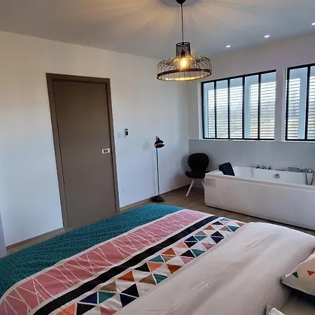 Aog Prestige Prestigehome 2, Jacuzzi Sauna Parking Colmar Villa *