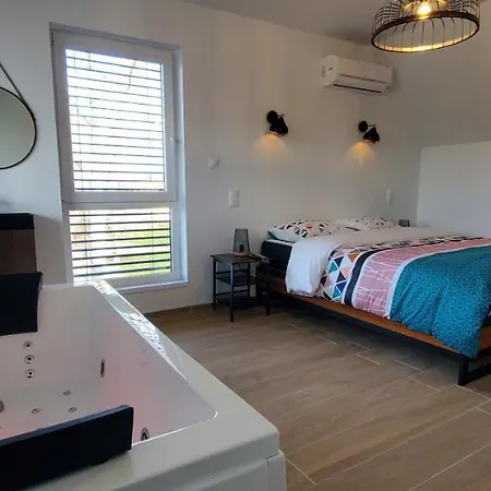 Villa Aog Prestige Prestigehome 2, Jacuzzi Sauna Parking Colmar